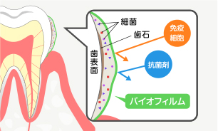 コントロールプログラム